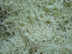 东风农产品-有知名度的干瓢粒批发商|干瓢粒生产厂