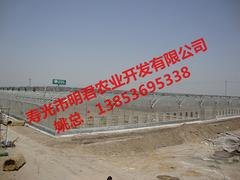 智能温室大棚：优质的温室大棚推荐