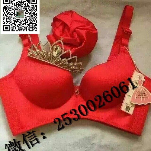 厦门哪里有做向大大内衣要怎么做能赚到米吗,价格多少?