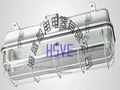海盛船用_专业的JCY22/23-2EF荧光舱顶
