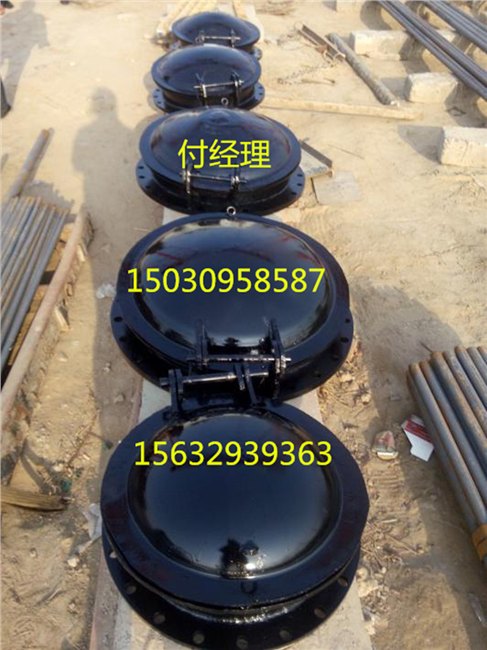 方形拍门 钢制拍门 圆形拍门 1米 500 800 1200 300 