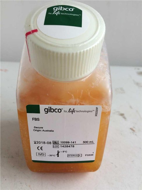 GIBCO胎牛血清10099-141/GIBCO胎牛血清16