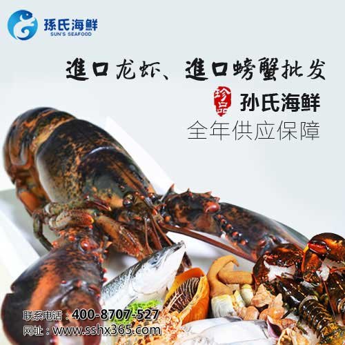 2016年孙氏高档海鲜礼盒价格带着福气和祥和起飞
