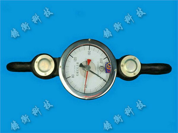 10N带刻度测力计，10N指针式测力仪器，