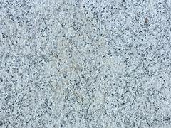 宁德白 福建哪里有供应价格合理的白荔枝面