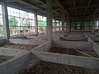 广西建筑加固经验丰富团队 知名的加固公司推荐