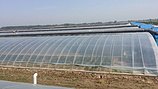 PO膜批发//PO膜厂家//PO膜供应商[绿金农