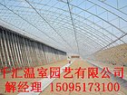 连栋温室大棚的保养连栋温室大棚/价格/建设/造价