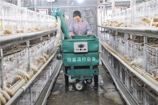 北京颗粒饲料成型机——专业的颗粒饲料机供应商推荐