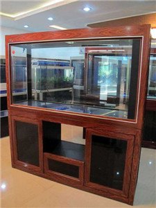 济南鱼缸专业造景