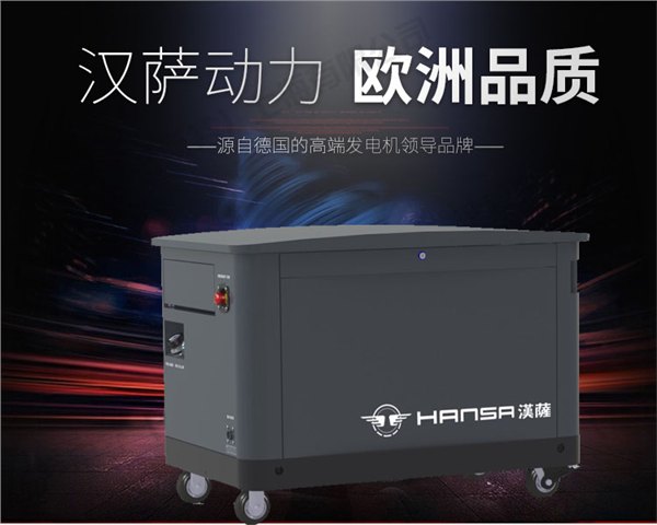 20千瓦静音多燃料发电机