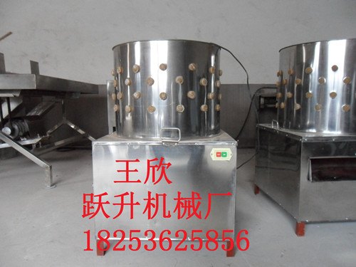 鸡打毛机规格