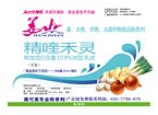大姜苗后除草剂厂家 厂家直销大蒜作物苗后除草剂，