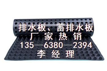 屋顶绿化排水板 舟山排水板厂家H-20mm排水板价格