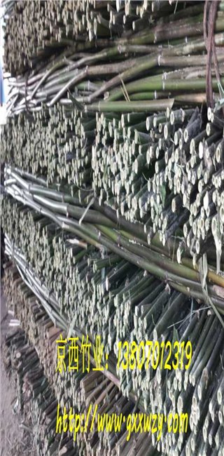 绑扶枸杞树苗专用竹竿厂家批发 绑扶枸杞树苗专用竹竿