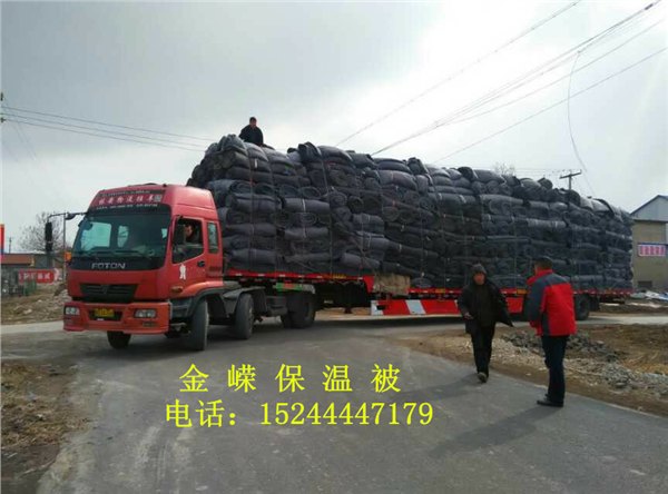 山东结实耐用的蔬菜大棚被 日照蔬菜大棚被