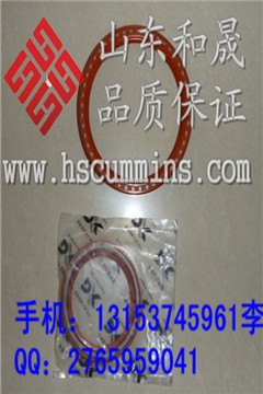 NT855柴油机油封3020186-康明斯油封经销处折扣