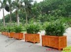 湖北防腐木花箱——湖北专业的防腐木花箱供应商