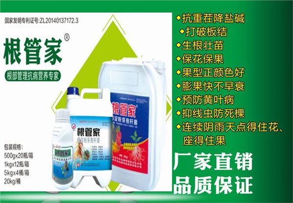供应山东微生物菌剂山东丰本根管家液体菌剂、菌肥、