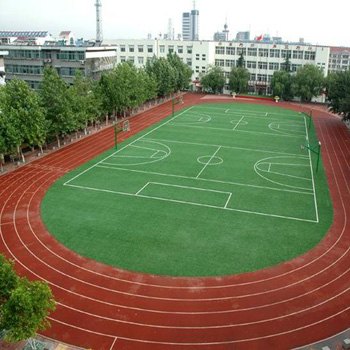 供西宁塑胶跑道和青海透气型塑胶跑道生产商