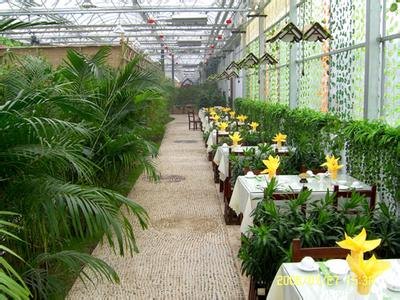生态餐厅建设价格：【荐】优质生态餐厅建设