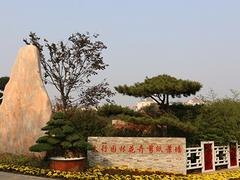 安徽园林工程 专业的园林工程哪里有