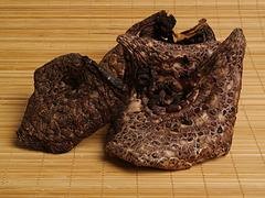 昆明信誉好的虎掌菌供应商 价位合理的虎掌菌营养价
