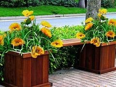 木质花盆市场行情资讯_芙蓉花盆容器