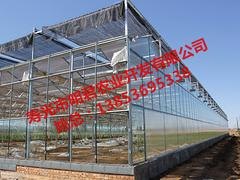 温室大棚建设厂家_一流的温室大棚建设明君农业提供