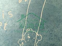星光石招商，专业的星光石涂料火热供应中