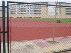 优质学校体育场围栏网|长期供应优质学校体育场围栏