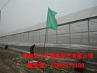 千汇温室实力雄厚-山东【智能温室大棚造价#薄膜温
