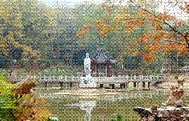 烟台电影院4D票价多少钱-栖霞金龙旅游开发有限公司