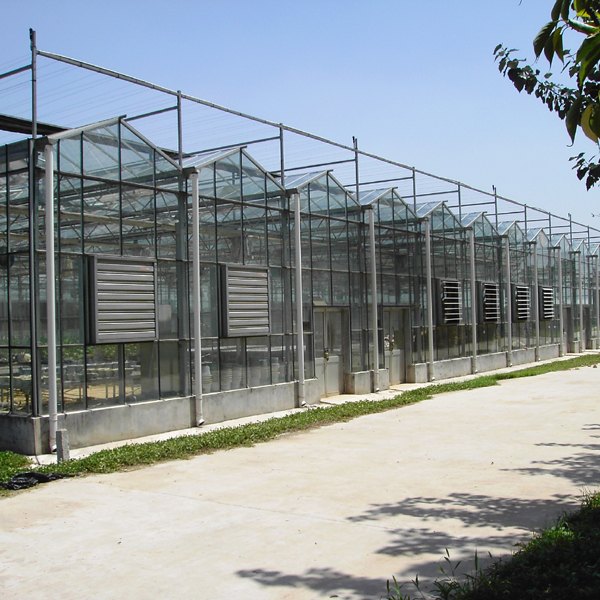 安徽智能连栋温室建设/智能连栋温室建设/河北智能