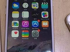 冷柜批发|专业的冷柜供应商推荐