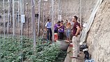 潍坊大棚PO膜 什么地方有卖上等日本PO膜