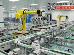南京码垛机器人——苏州富琳克斯提供专业非标自动化