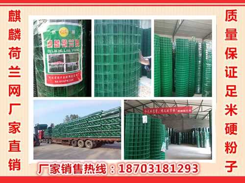 浸塑荷兰网厂家_浸塑荷兰网价格