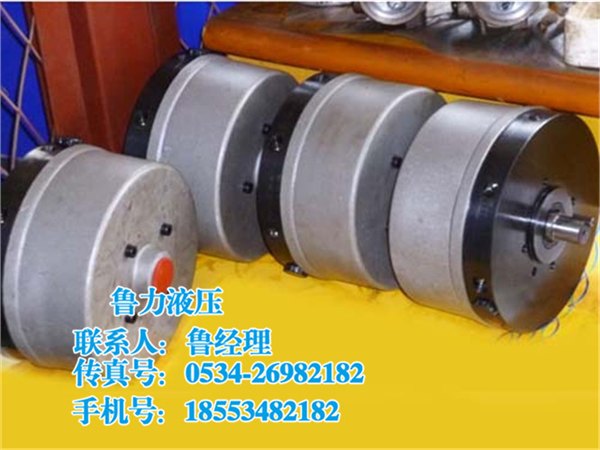 【鲁力双作用径向泵供应商】周年庆万千钜惠大放送期