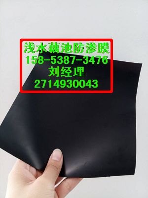 供应扬州（耐根穿刺藕池膜）0.3毫米防渗膜价格