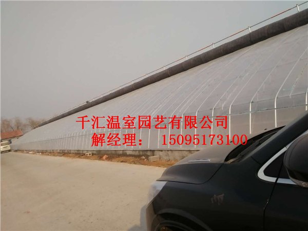 蔬菜温室大棚/逐步向智能机械化/标准化方向发展-