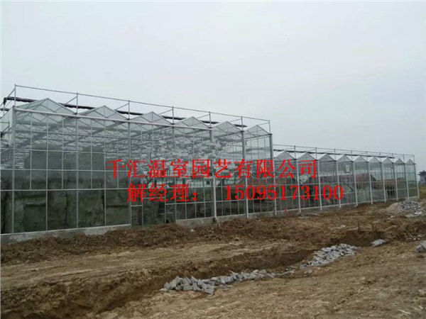 玻璃温室大棚建设/玻璃温室大棚价格/造价/建造/