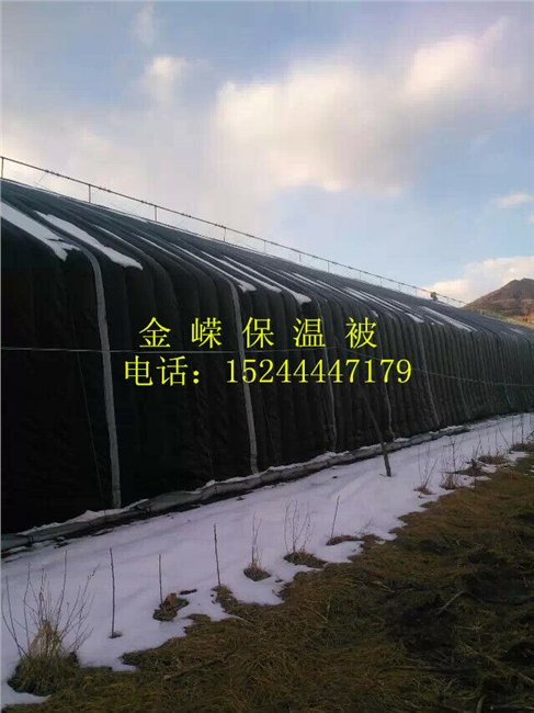 潍坊价格适中的防雨雪的大棚棉被上哪买，楚雄防雨雪