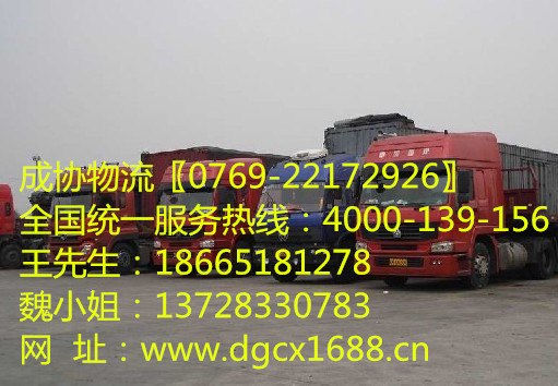 东莞到湛江物流专线 东莞至湛江货运公司-选成协物