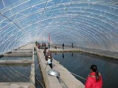 广东水产养殖膜_哪里能买到高质量的水产养殖膜