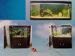 出售水晶鱼缸：实惠的水晶鱼缸在许昌有售