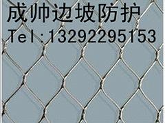 优质钢丝绳网——供应衡水畅销不锈钢钢丝绳网