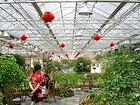 温室大棚建设，上哪找可靠的生态餐厅建设
