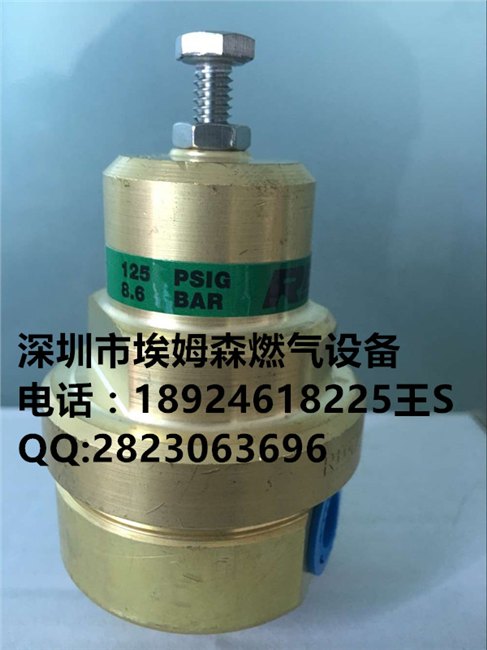 REGO CBH125组合阀RG125低温调节阀