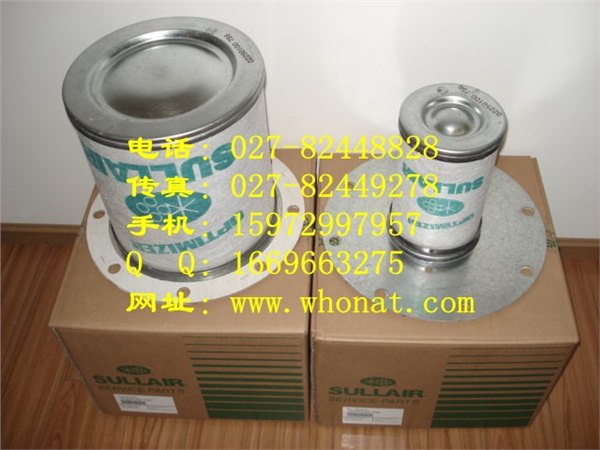 1617704005